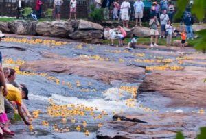 Rubber ducks floating down the river with onlookers.
