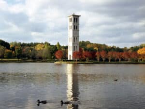Ducks in lake in front of clock tower in Autumn