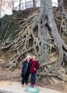 Two women standing in front of roots of a Beech tree.