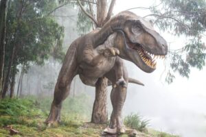TRex in the woods