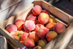 Crate of fresh peaches in the sun