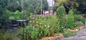 Blooming butterfly garden with seating.