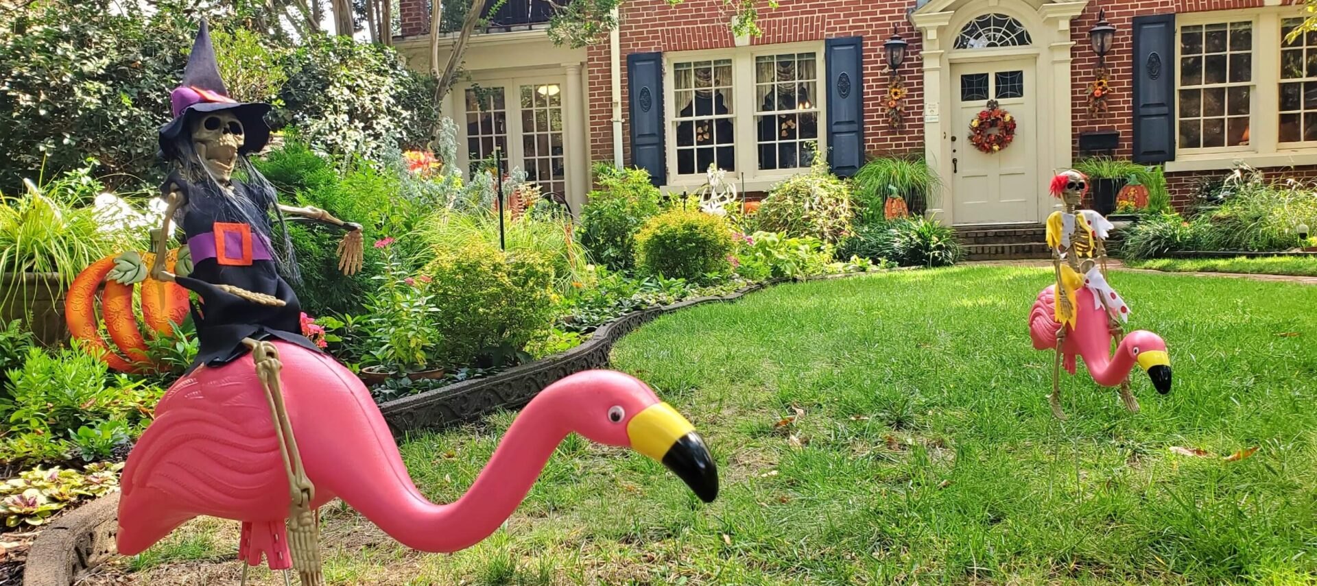 Plastic flamingos enjoying a sunny yard with riders.