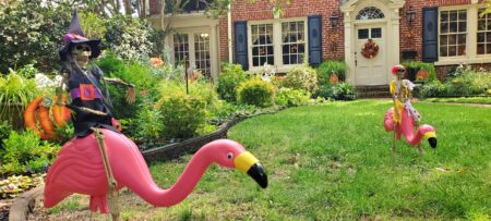 Plastic flamingos enjoying a sunny yard with riders.