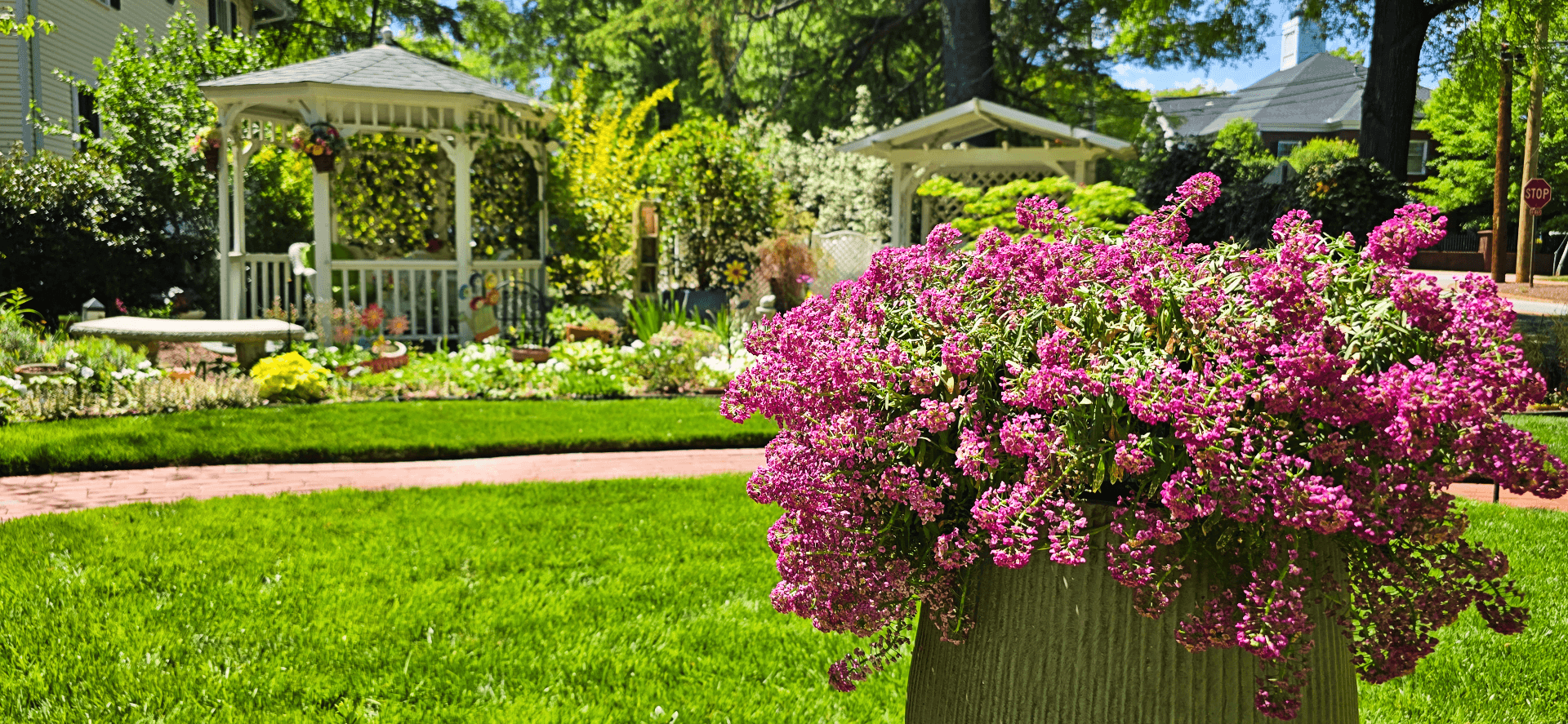 Pot full of tiny pink flowers in bright spring garden
