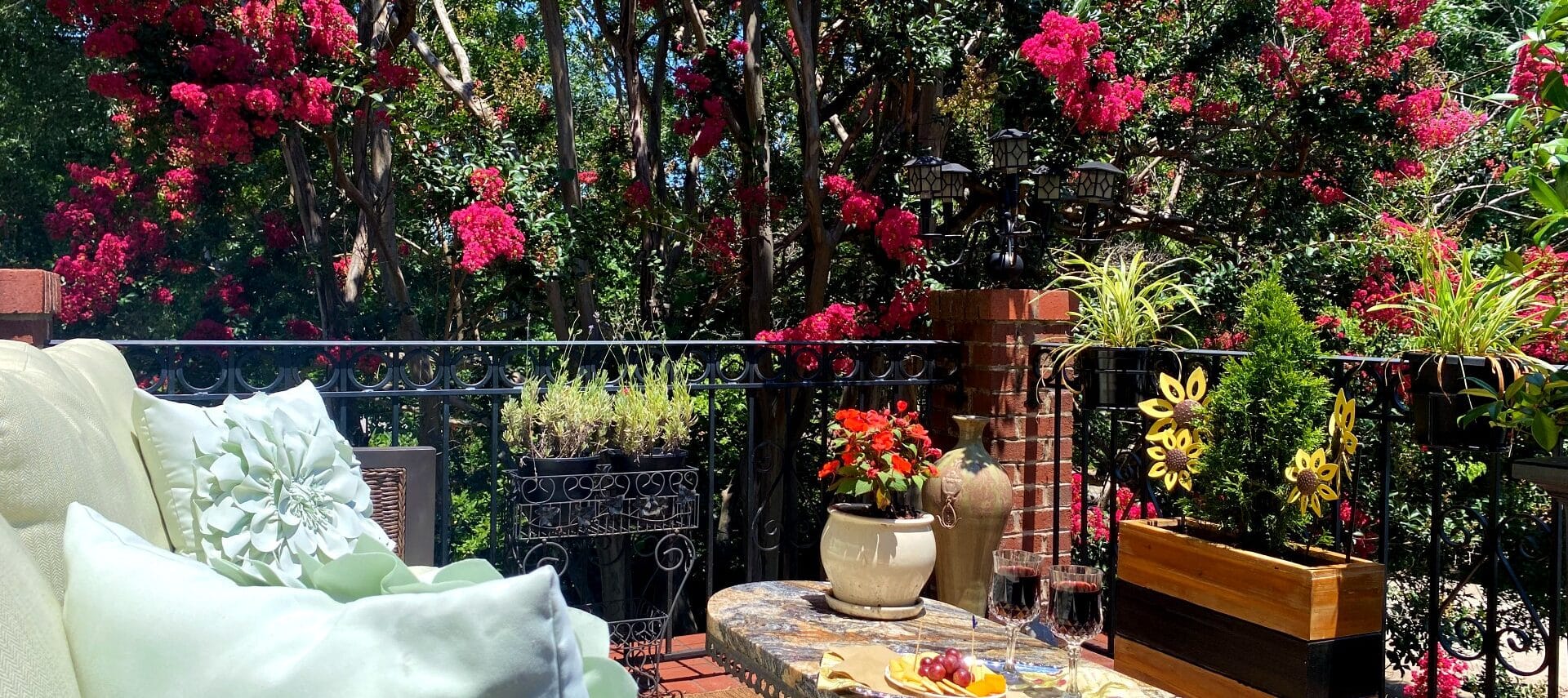 Blooming crepe myrtle from balcony with flowers, wine and cheese tray, and green cushioned sofa