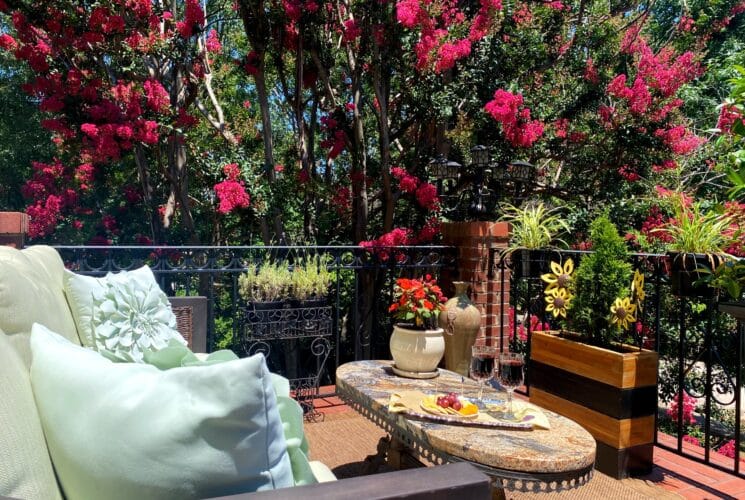 Blooming crepe myrtle from balcony with flowers, wine and cheese tray, and green cushioned sofa
