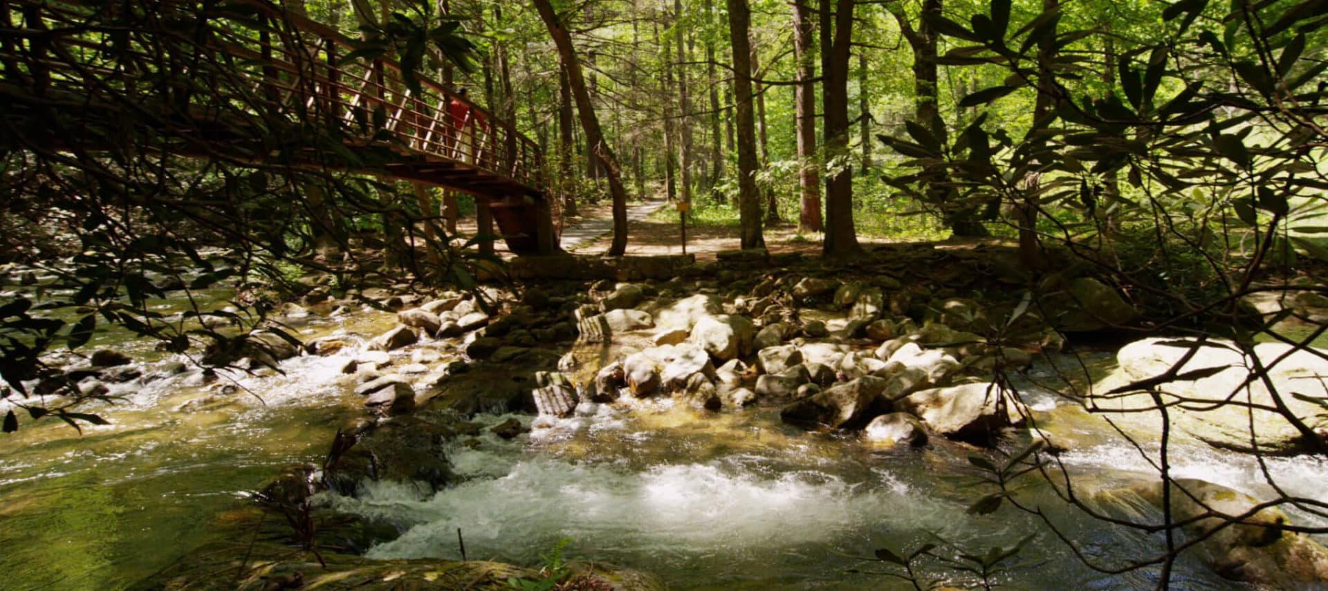 Hiking path by rolling water in wooded area.