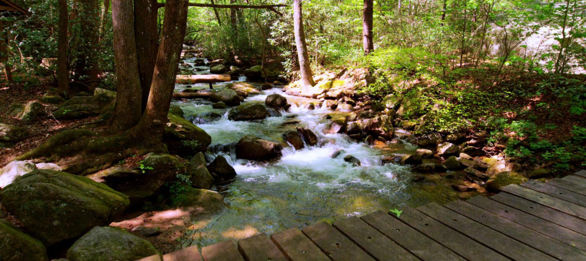 Bridge over running water in the woods.