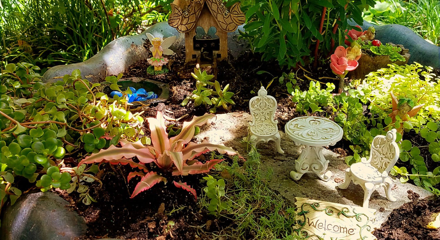 Fairy garden with a tiny house and patio furniture among plants. 