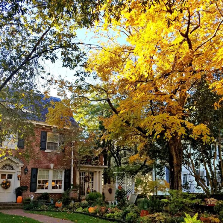 Pretty stone path winds through the trees in front of a brick Colonial.