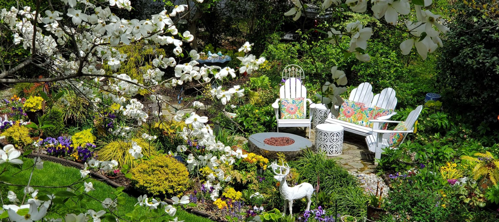 View of garden and Adirondack chairs through dogwood blossoms.