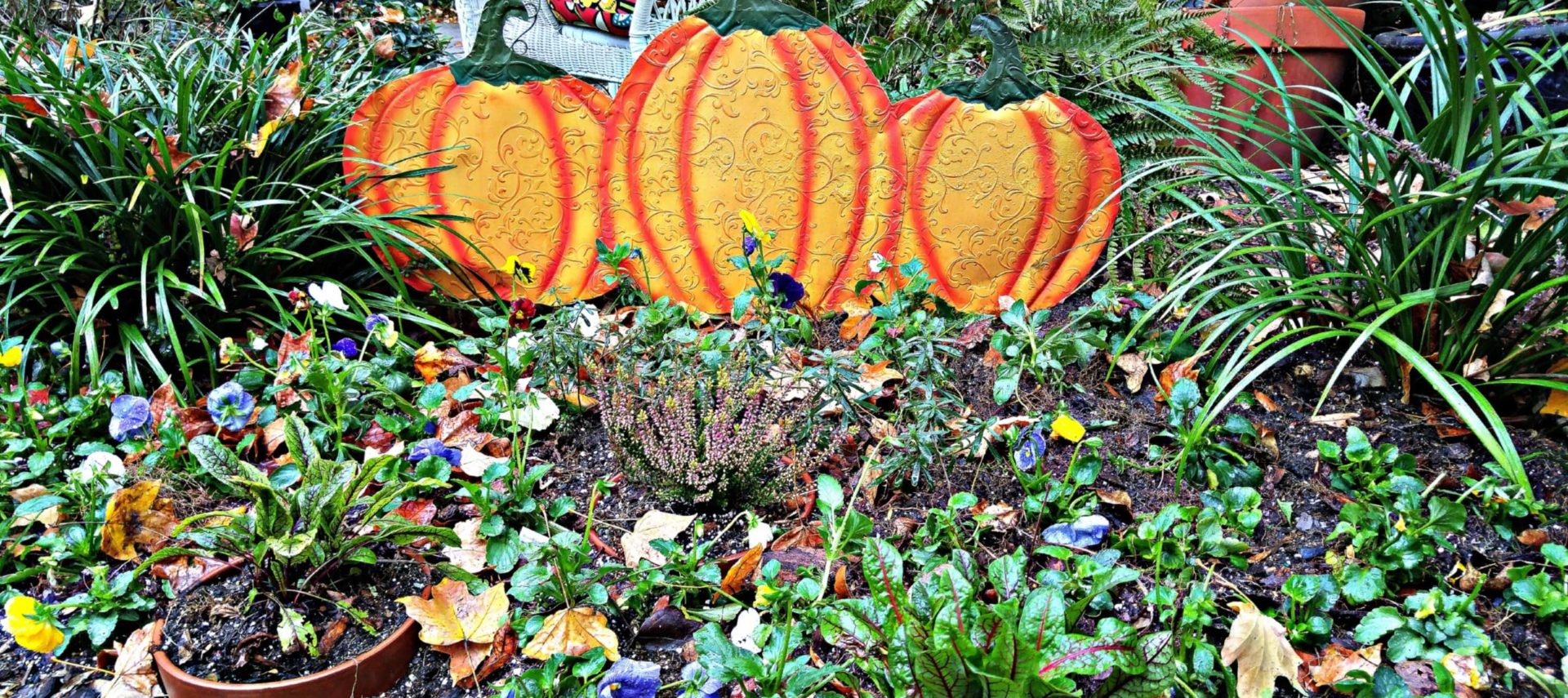 Sign of a trio of pumpkins in garden.