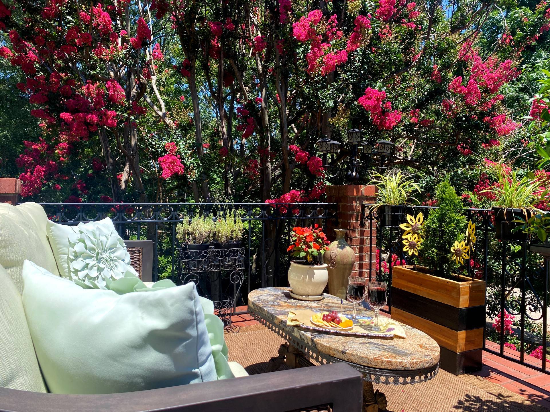 Blooming crepe myrtle from balcony with flowers, wine and cheese tray, and green cushioned sofa