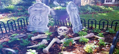 Graveyard in the garden